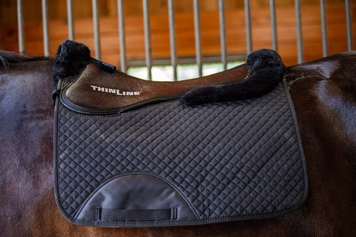 ThinLine Square Euro Wool Dressage Pad