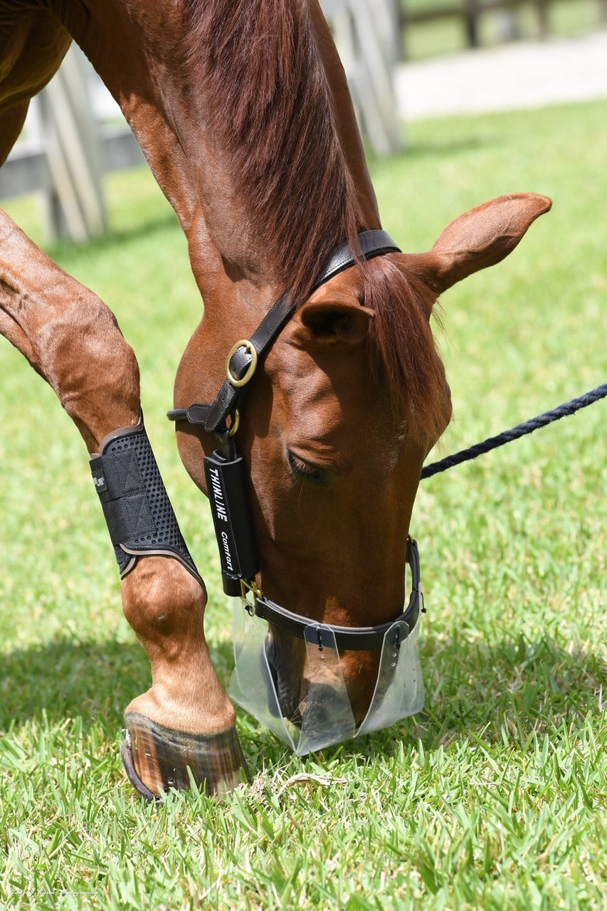 Flexible Filly Grazing Muzzles