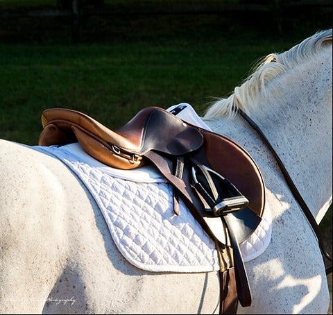 ThinLine Trifecta Cotton Half Pad