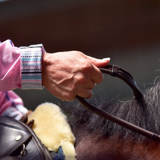 ThinLine Classic Wrapped Reins With Stud Hook
