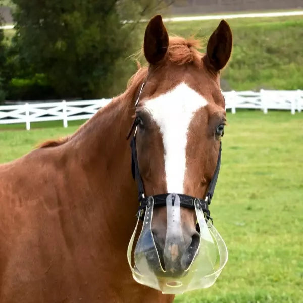 Flexible Filly Grazing Muzzles