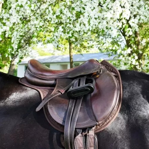 Wither Free Back Pad