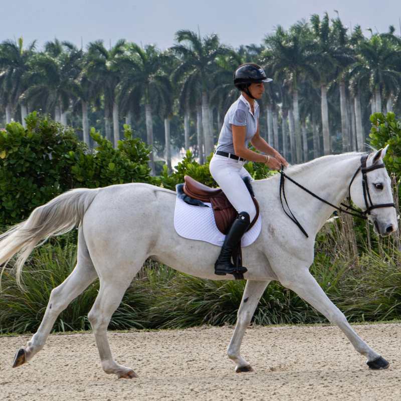 ThinLine Trifecta Expressions Half Pad