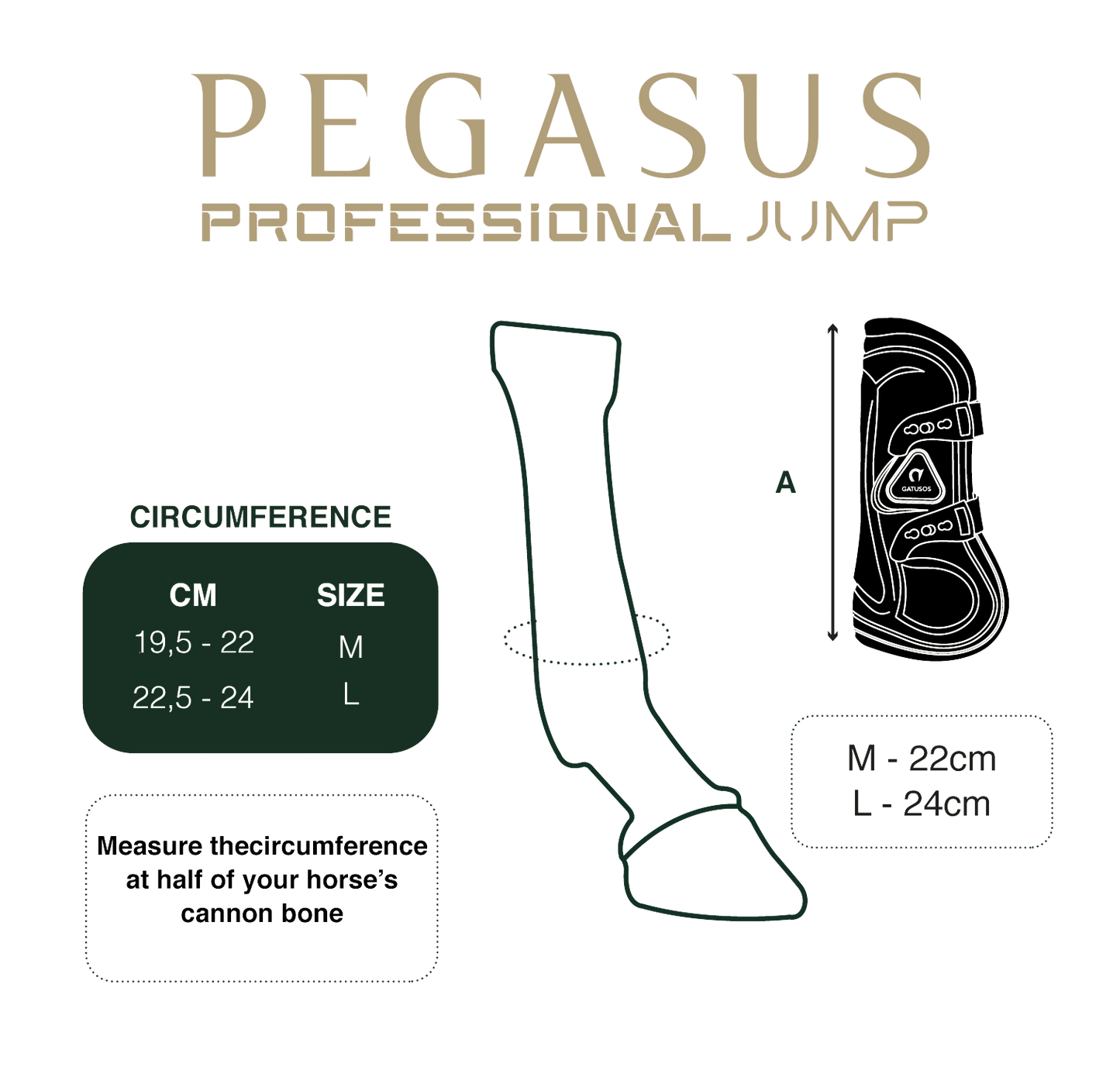 Gatusos Pegasus Front