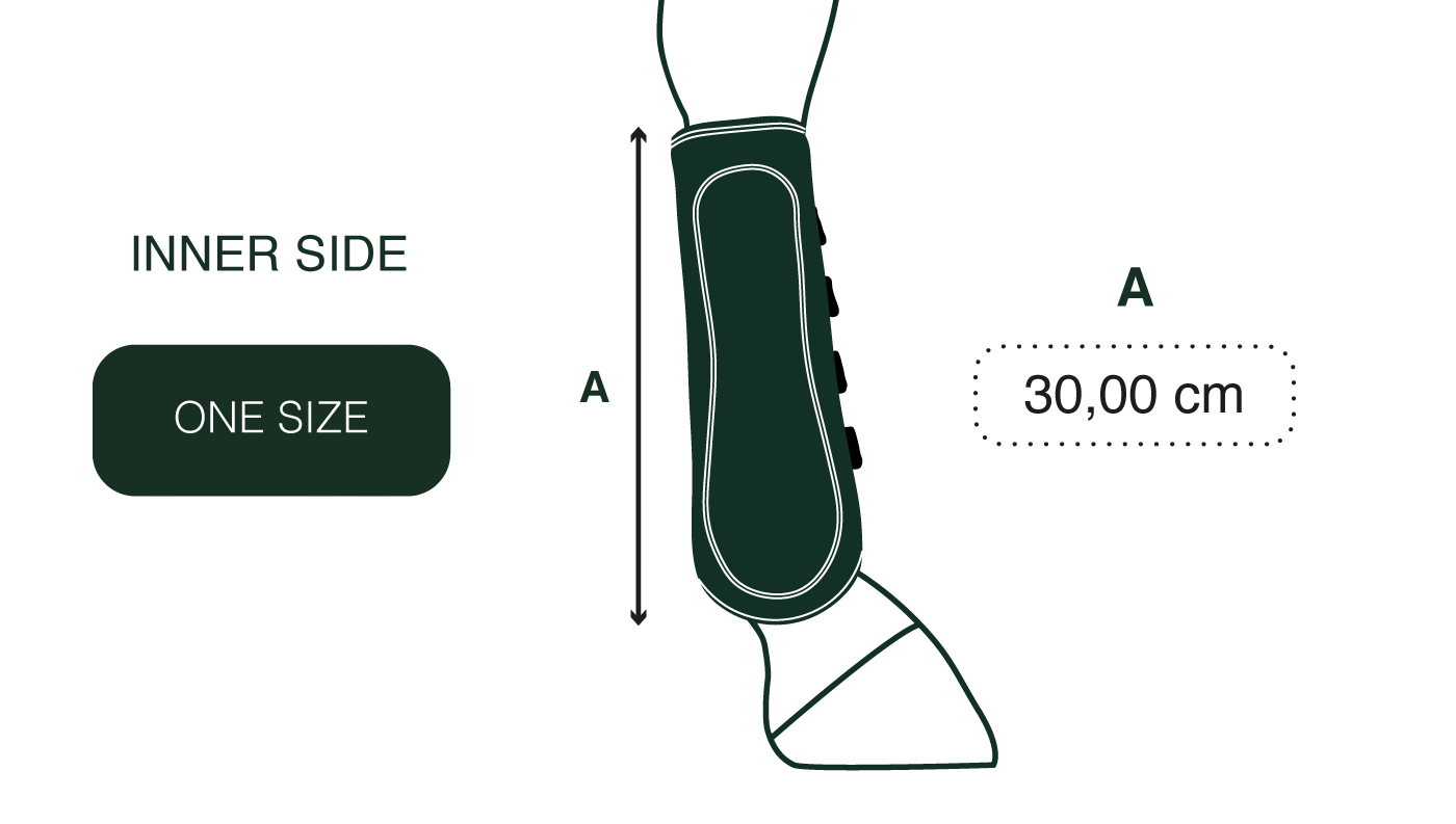 Gatusos Royal - Dressage Hind