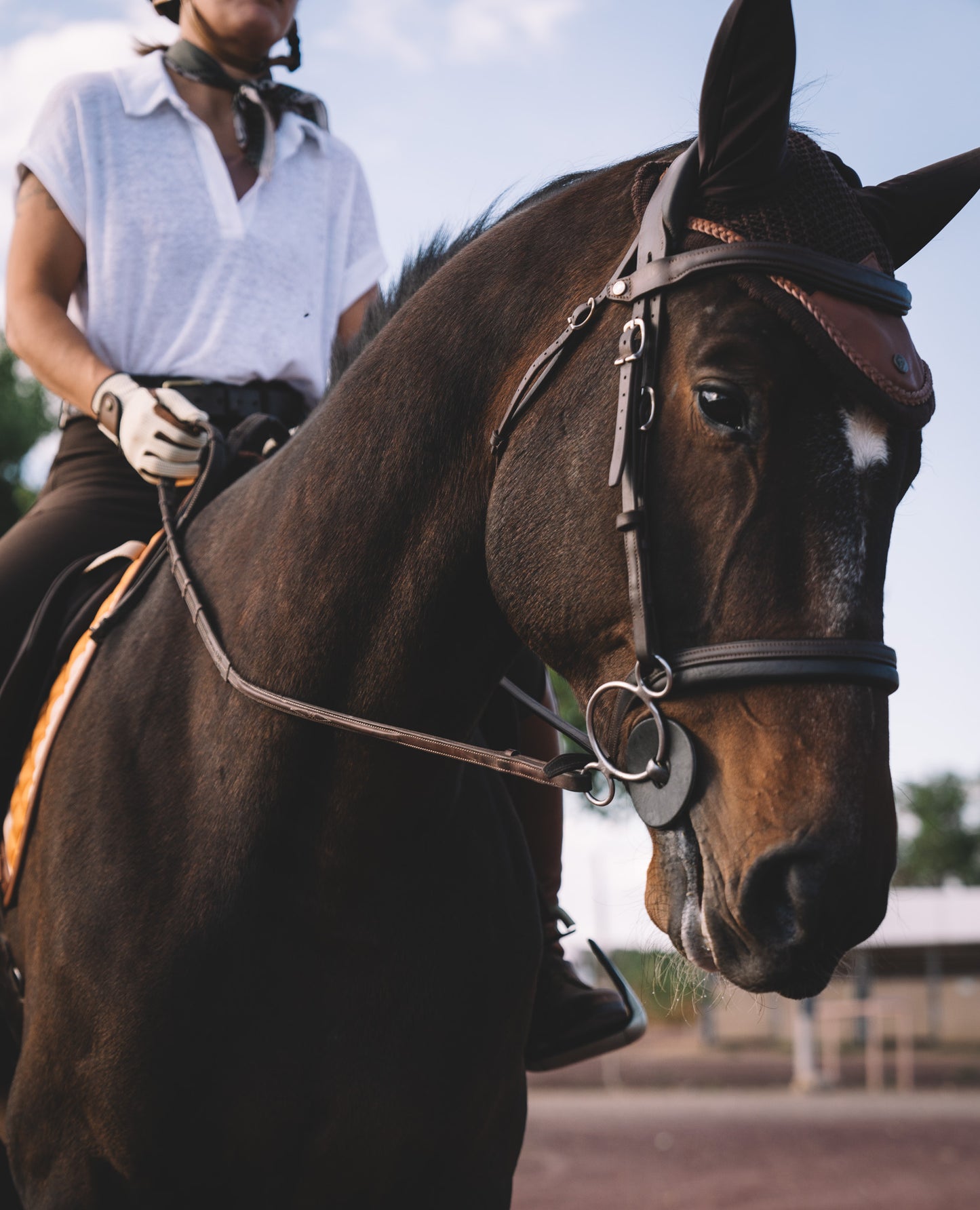 16 Cypress Ear Net - Tobacco