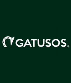 Gatusos