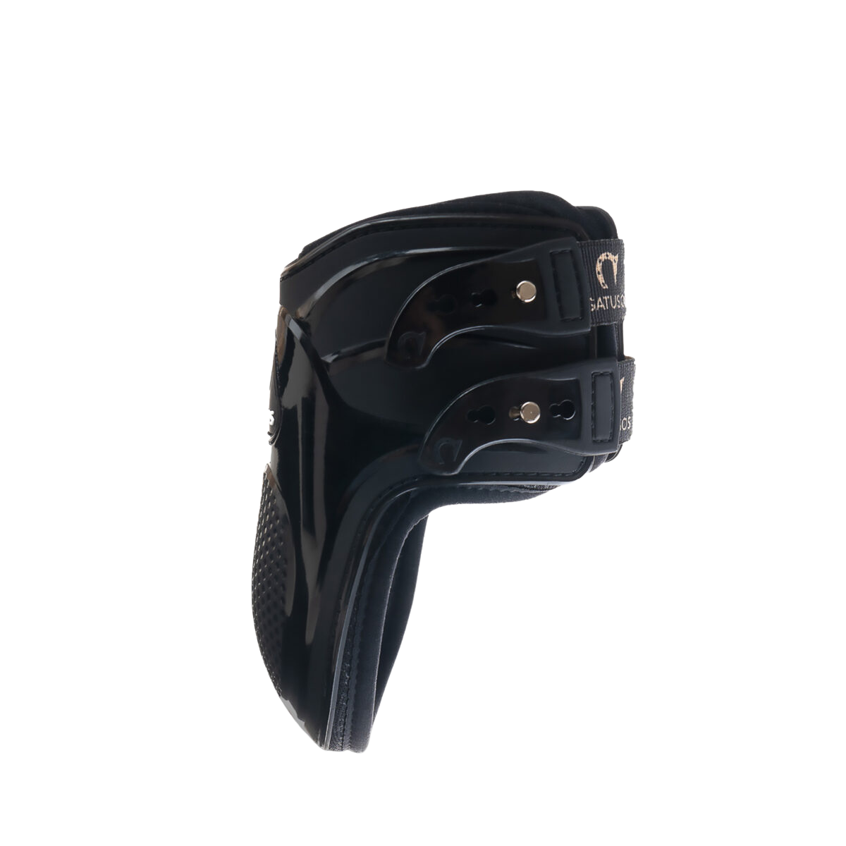 Gatusos Pegasus Fetlock