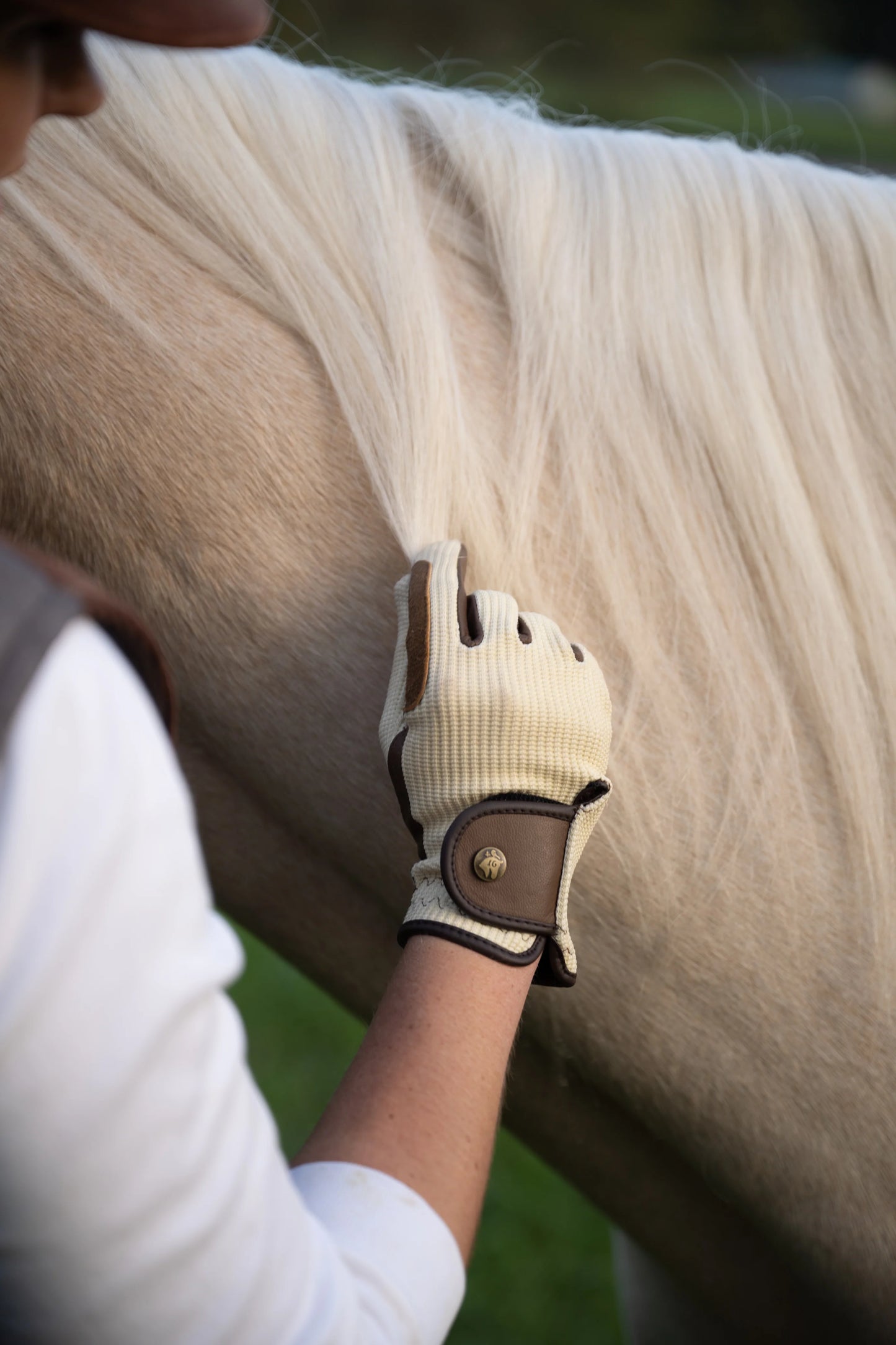 16 Cypress Riding Gloves - Ivory & Cognac