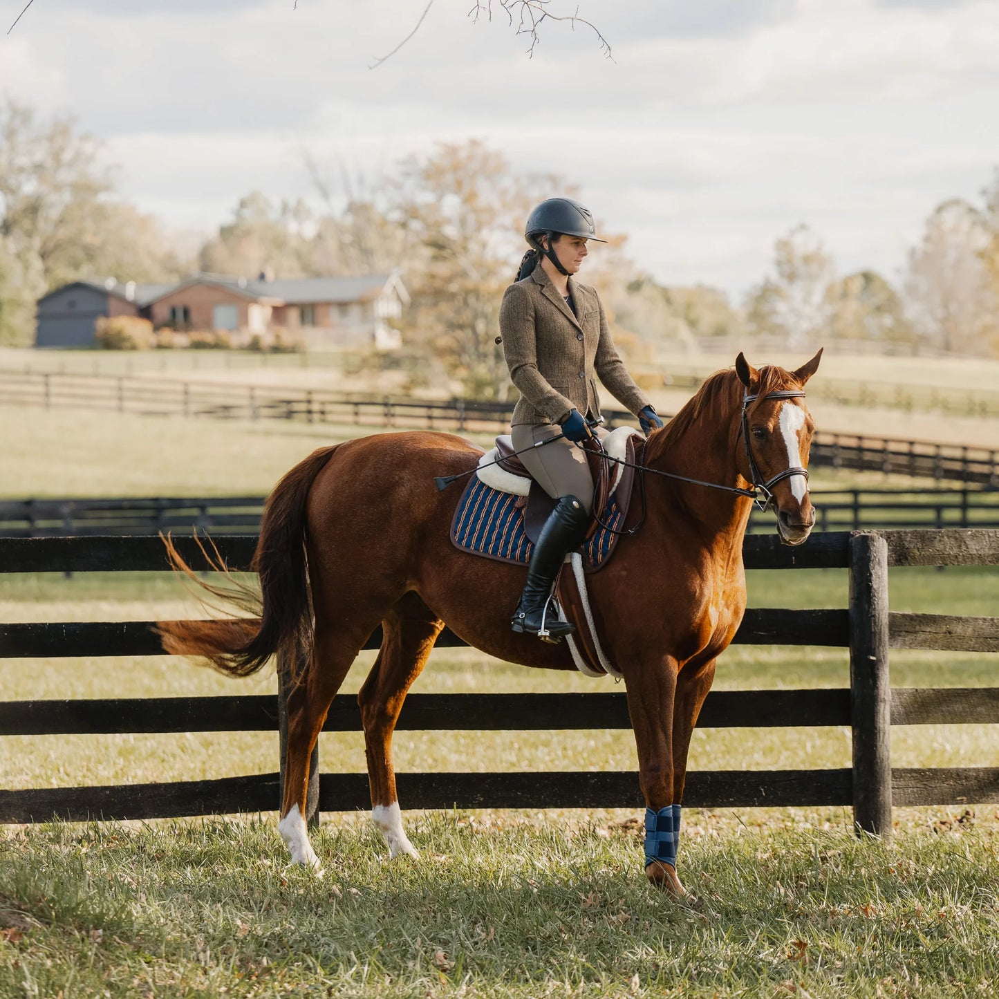 16 Cypress Jumper Pad - Peninsula Stripe