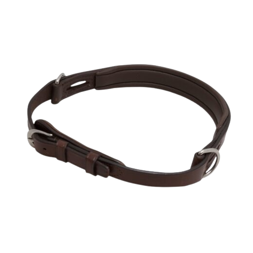 Bitless Noseband