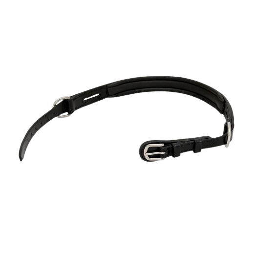 Bitless Noseband