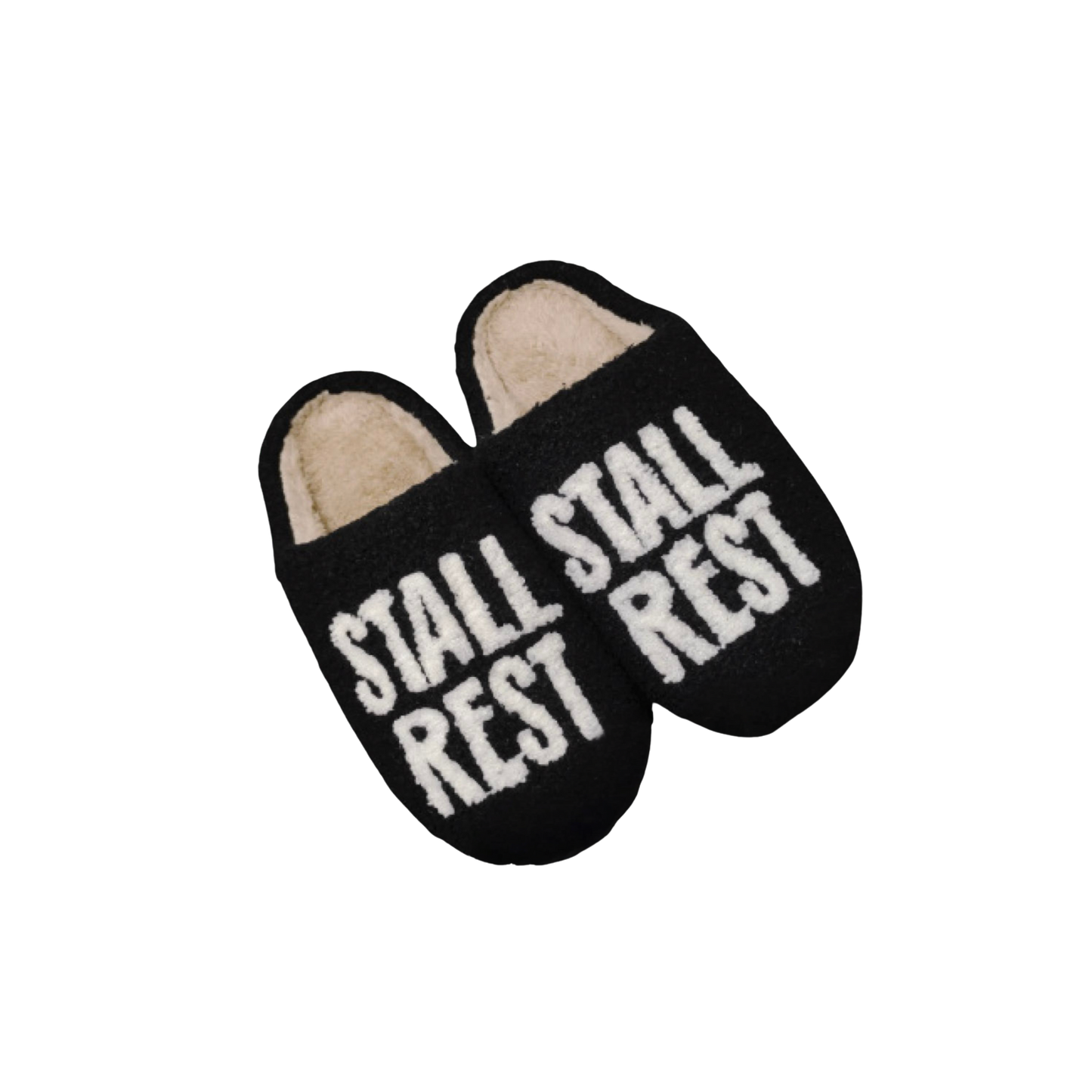 Dreamers & Schemers Slippers - Stall Rest