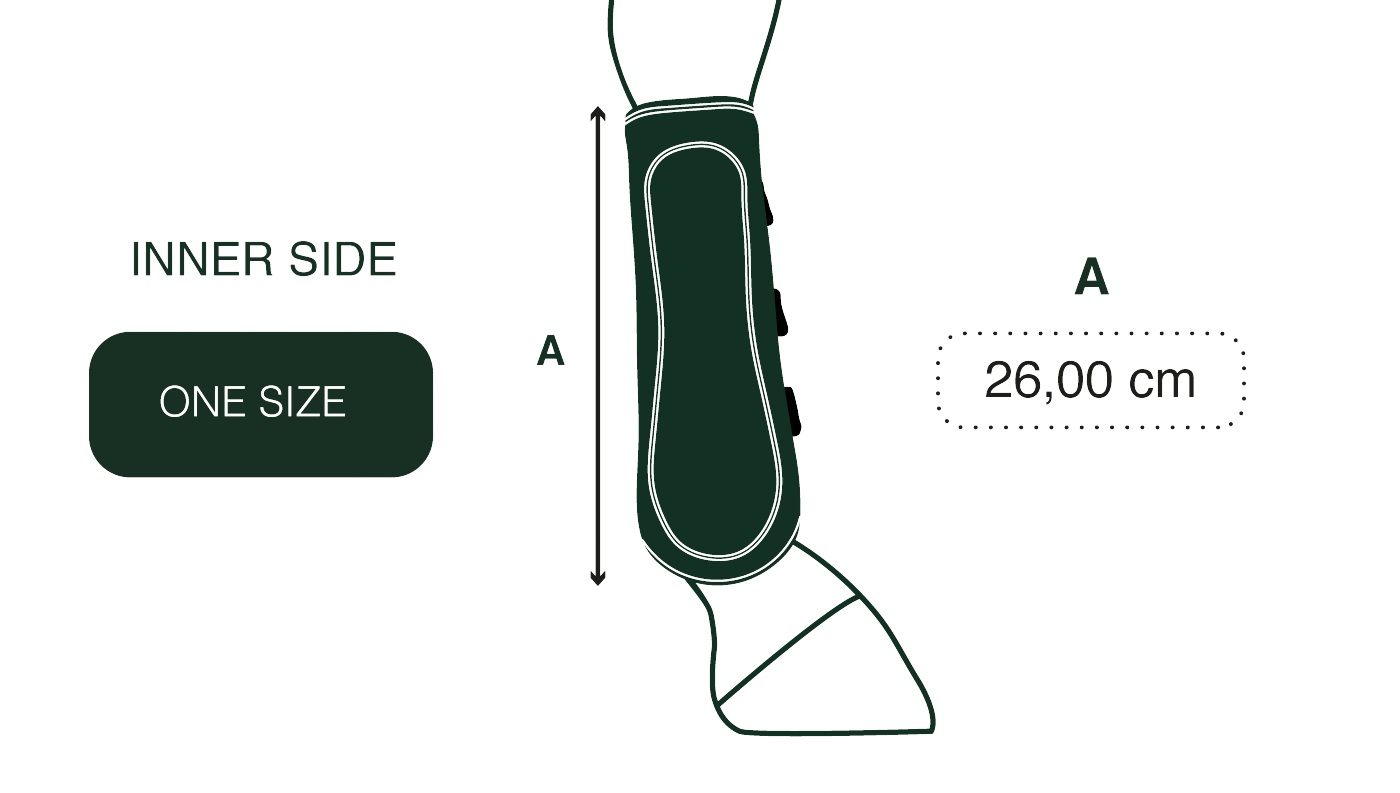 Gatusos Royal - Dressage Front