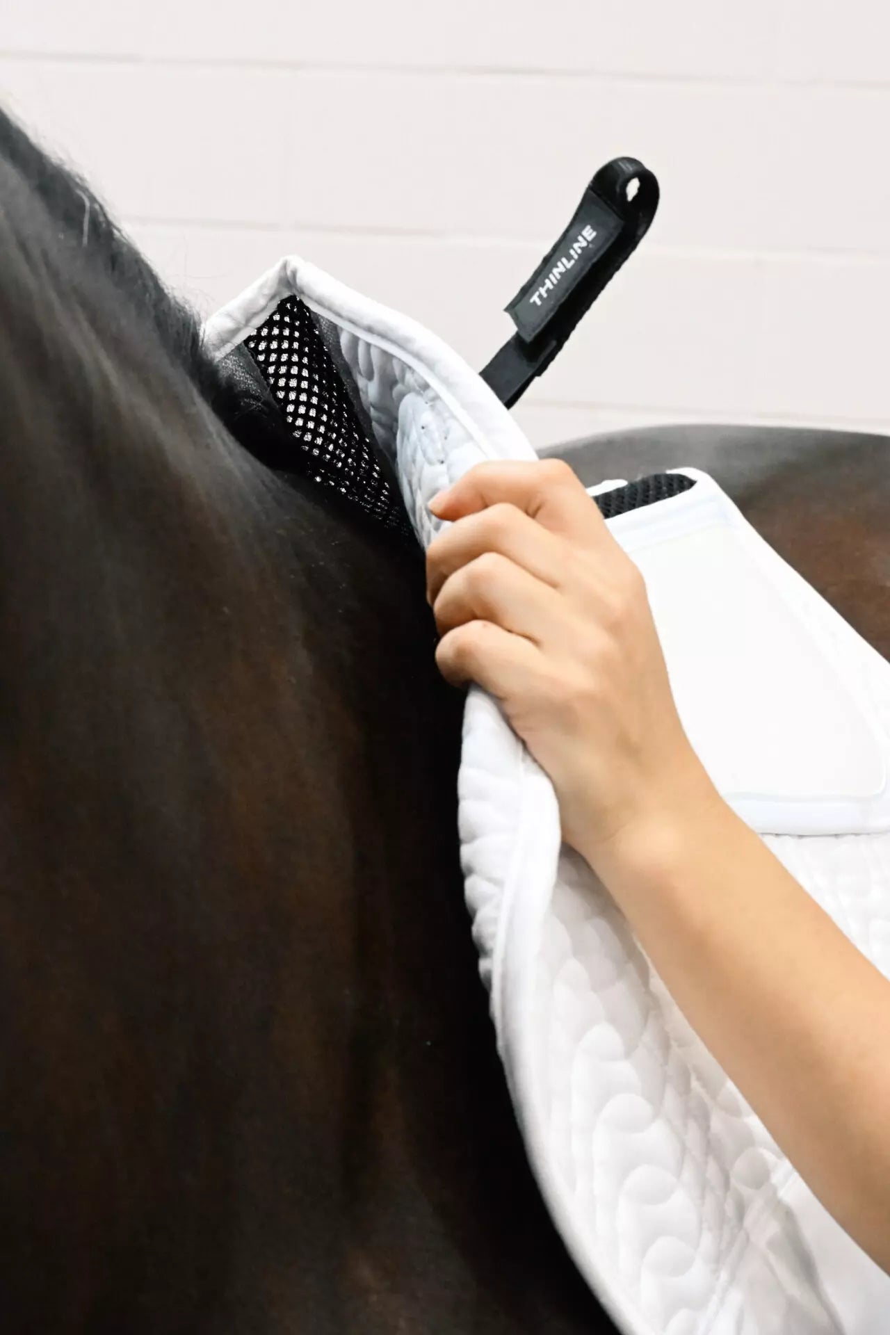 Cotton Comfort Square Dressage Pad