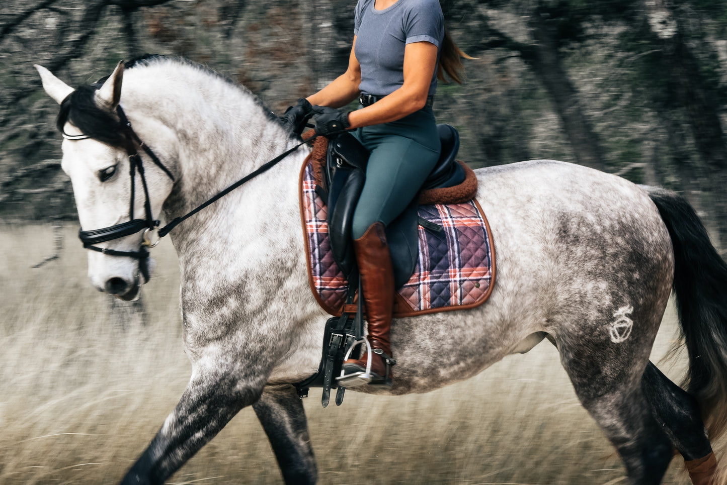 16 Cypress Dressage Pad - Feild Plaid & Hickory