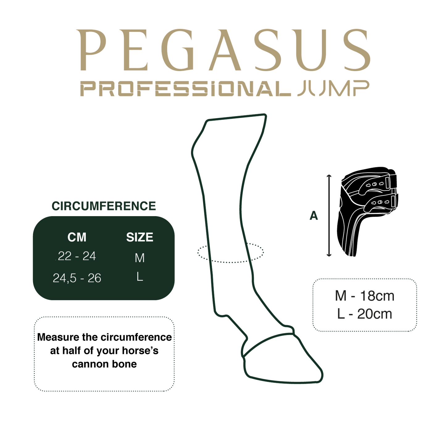 Gatusos Pegasus Fetlock