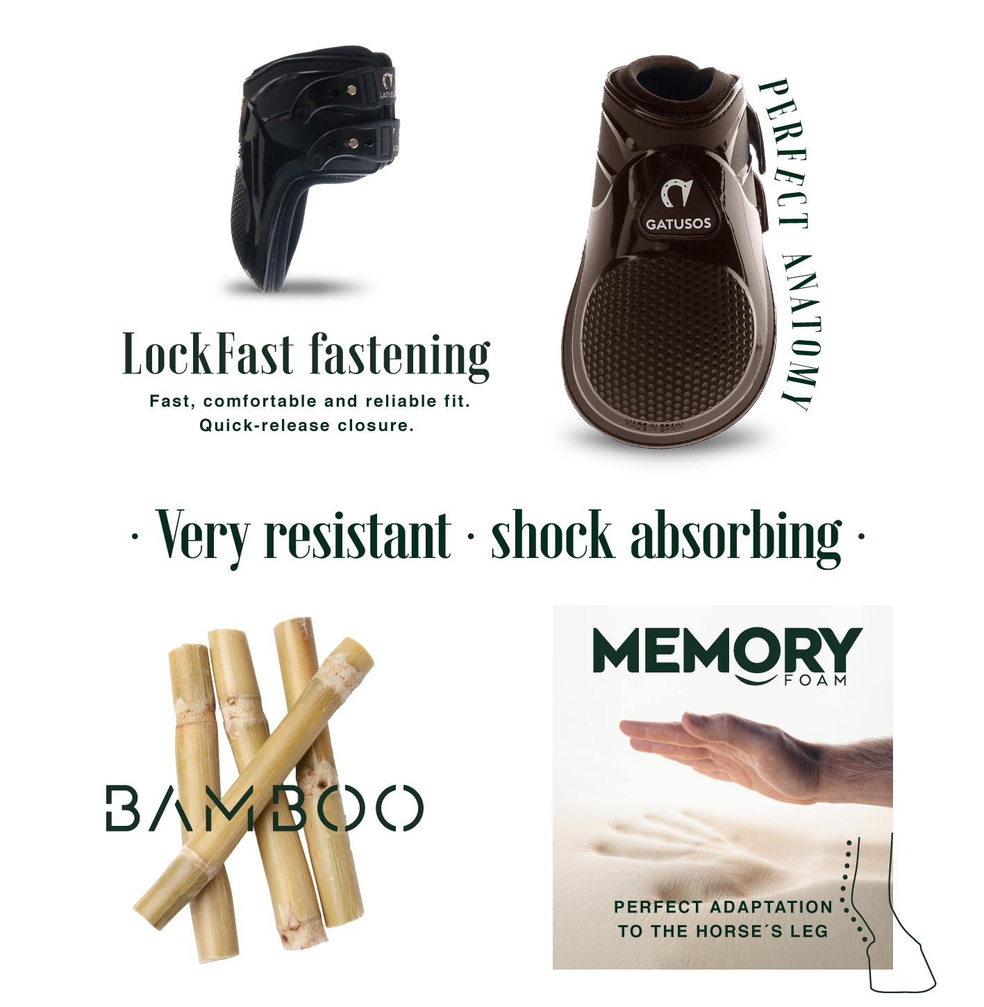 Gatusos Pegasus Fetlock