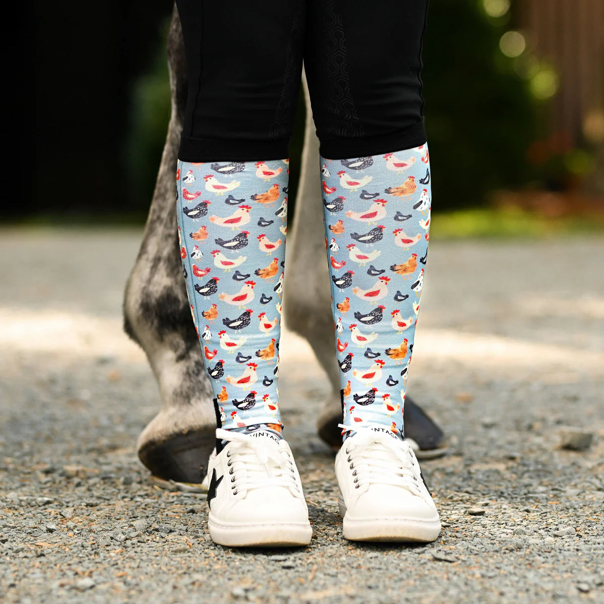 Dreamers & Schemers a Pair & Spare Socks - Hen House