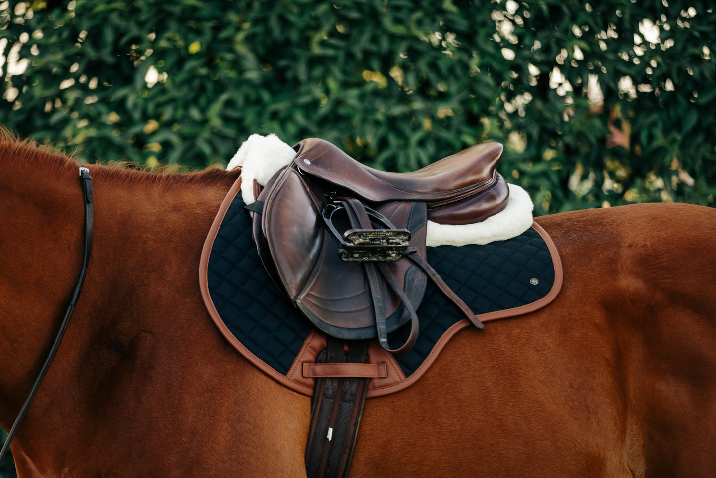 16 Cypress Close Contact Pad - Black & Cognac