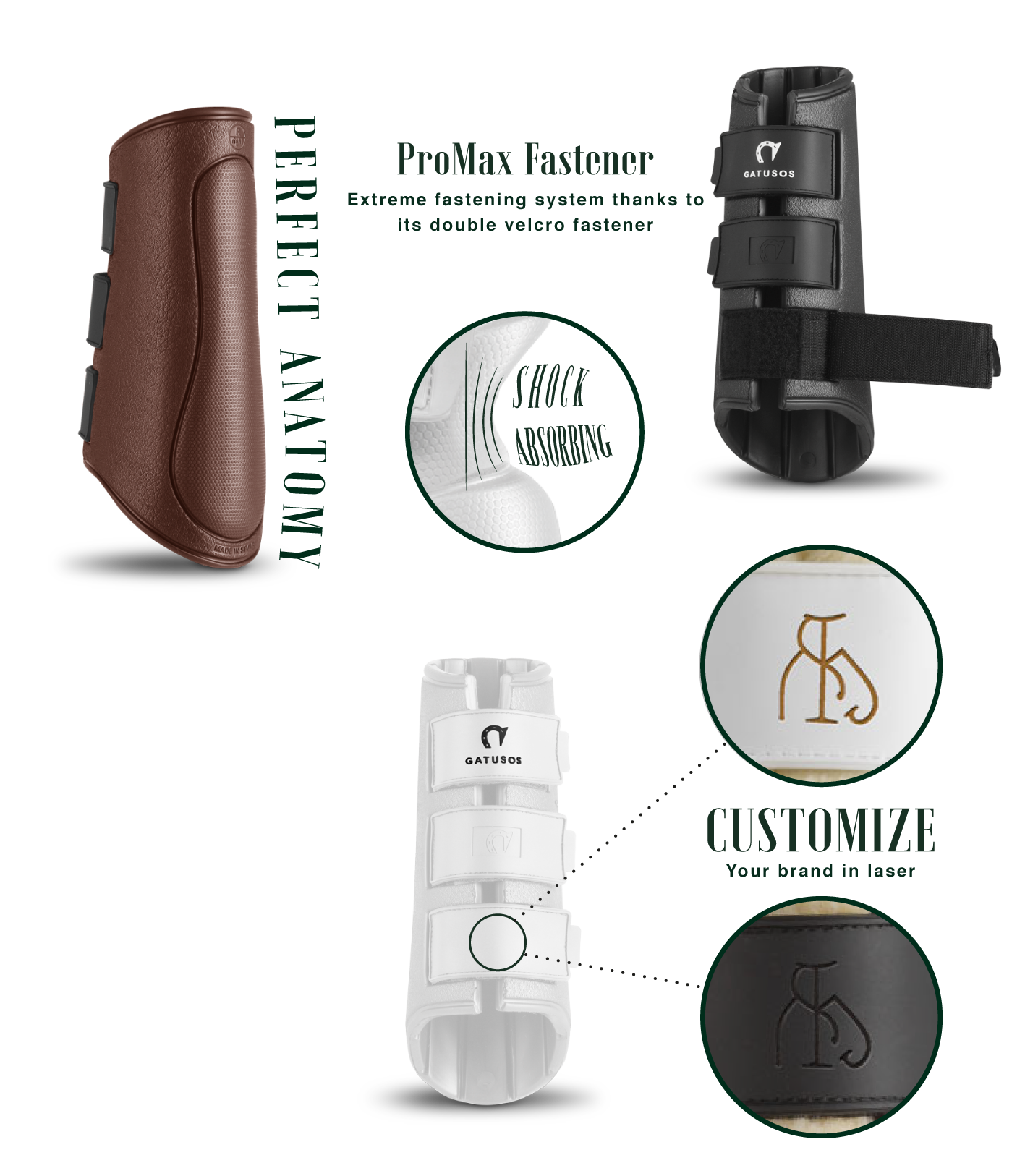 Gatusos Royal - Dressage Front