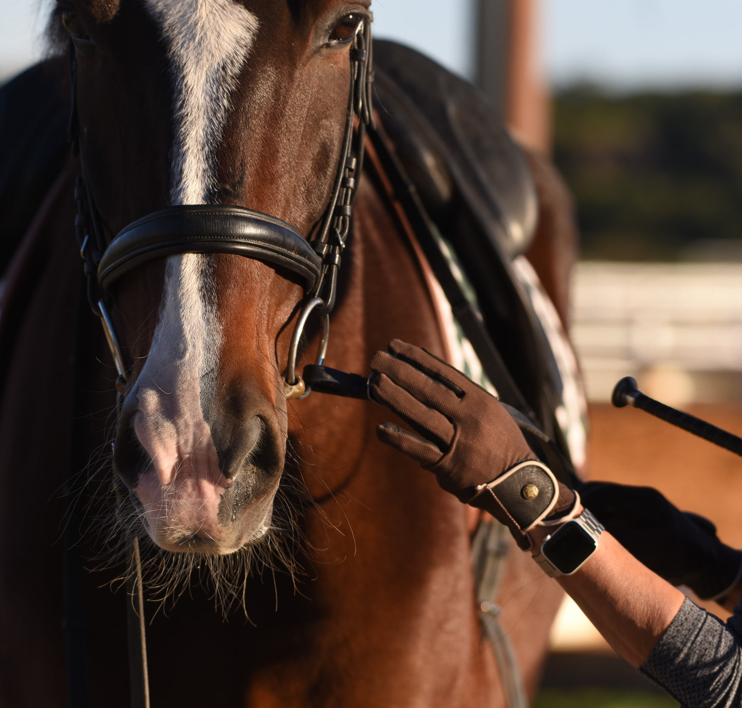 16 Cypress Riding Gloves - Tobacco