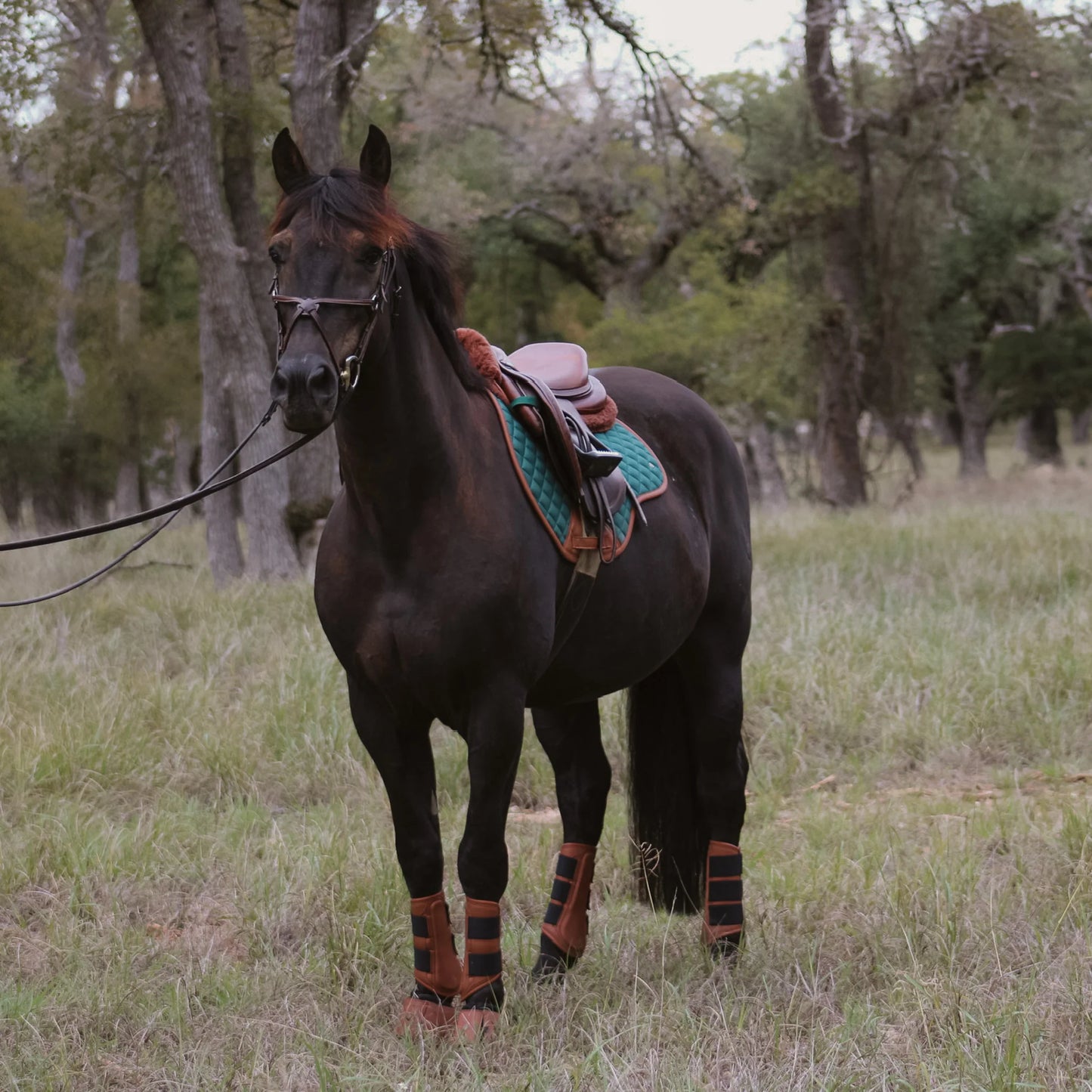 16 Cypress Close Contact Pad - Cypress & Cognac