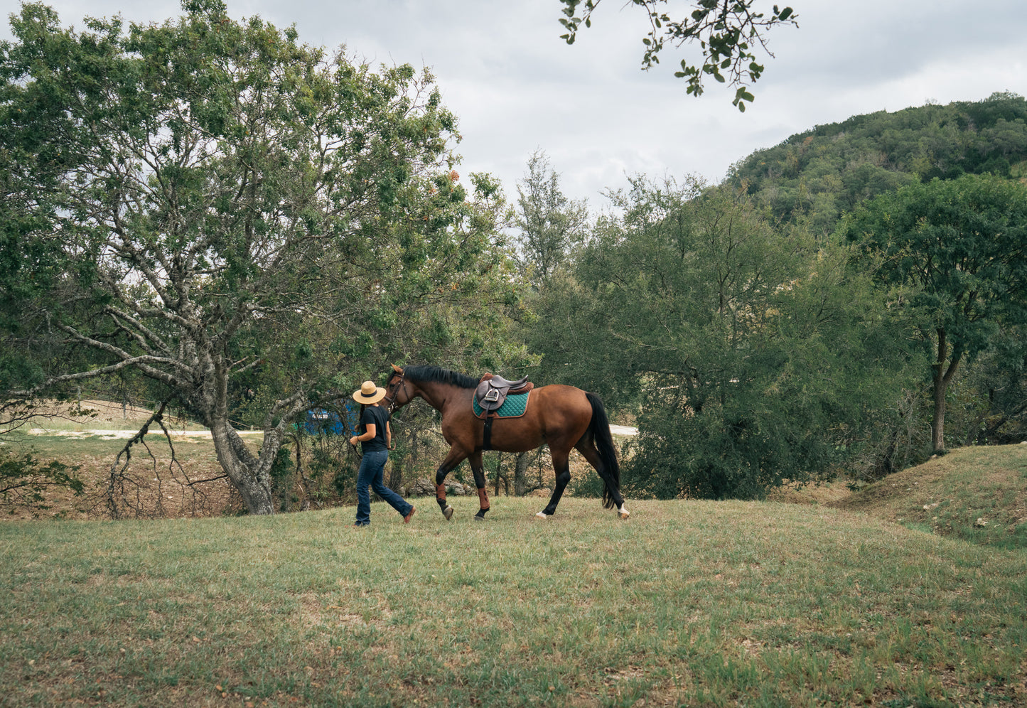 16 Cypress Jumper Pad - Cypress & Cognac