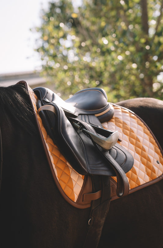 16 Cypress Jumper Pad - Capri Stripe