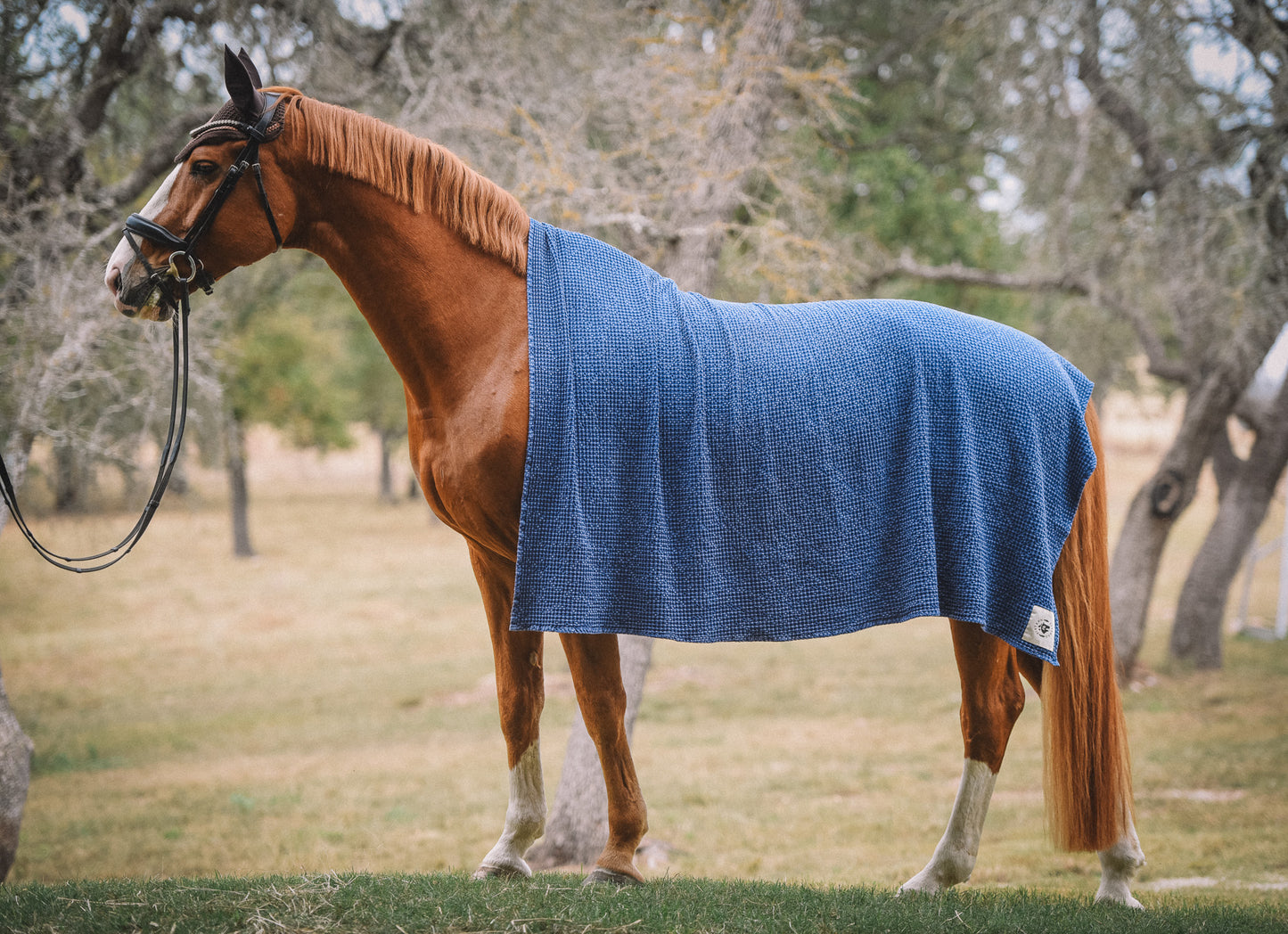 16 Cypress Cotten Waffle Horse Towel - Indigo