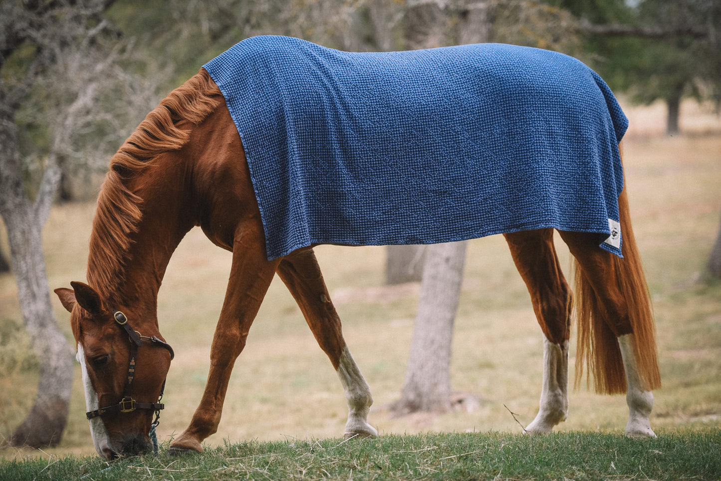 16 Cypress Cotten Waffle Horse Towel - Indigo